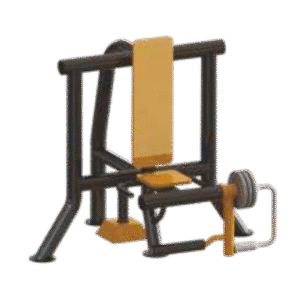 Leg Extension